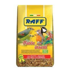 Pasta Insectivoros Raff Patee con Insectos en formato de 400gr