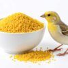 Mijo amarillo para loros 5kg - Imagen 3
