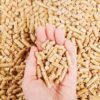 Pellets de Madera para Gatos Dimprot GAHWA 10 litros - Imagen 2