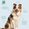 Agua de Colonia para Perros con Fragancia a Talco Menforsan 125ml - Imagen 3