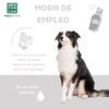 Pastor australiano mostrando el modo de empleo del limpiador facial para perros Menforsan: aplicar con papel, sin necesidad de aclarado.