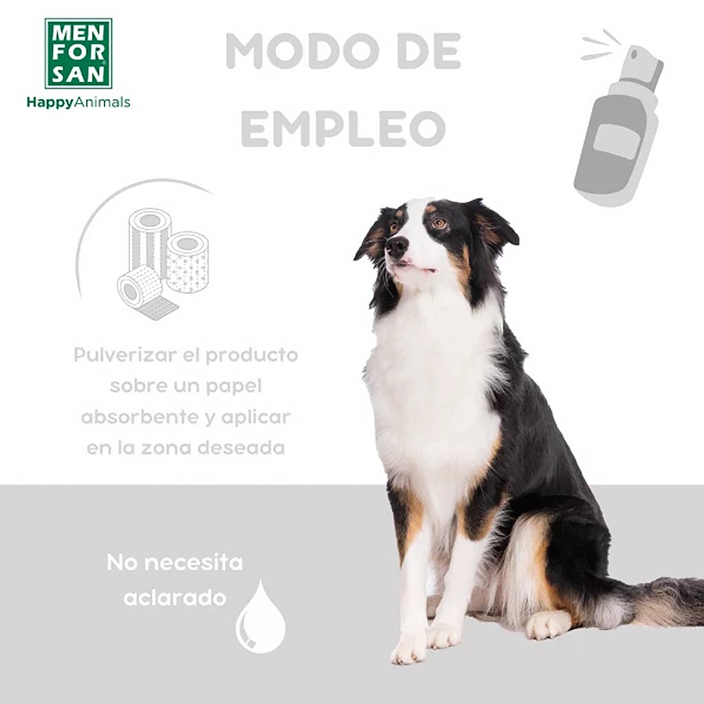 Pastor australiano mostrando el modo de empleo del limpiador facial para perros Menforsan: aplicar con papel, sin necesidad de aclarado.