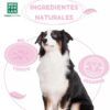 Perro junto a los beneficios del repelente orina perros Menforsan: ingredientes naturales, no tóxico y vegano.
