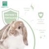 Beneficios de las vitaminas para roedores: conejo con pelaje sano y sistema inmune fuerte.