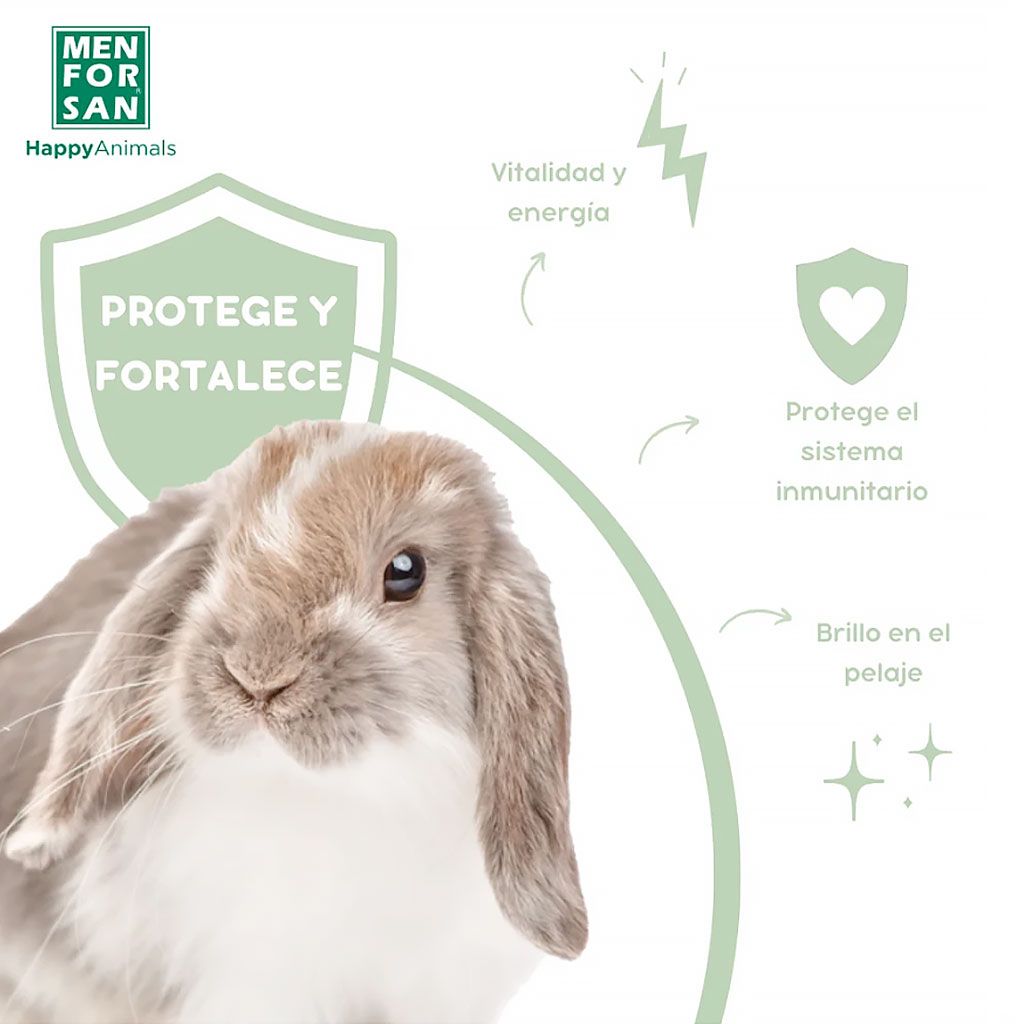 Beneficios de las vitaminas para roedores: conejo con pelaje sano y sistema inmune fuerte.