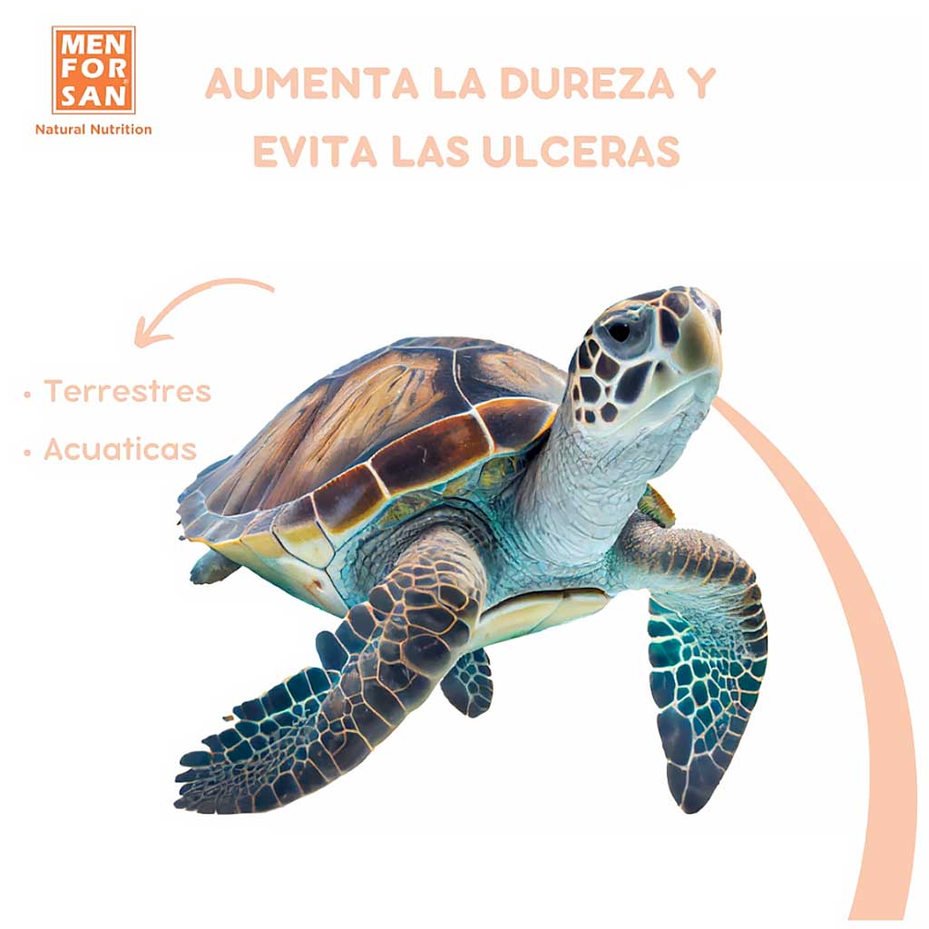 Beneficios de Menforsan para fortalecer caparazón tortugas acuáticas y terrestres, evitando úlceras.