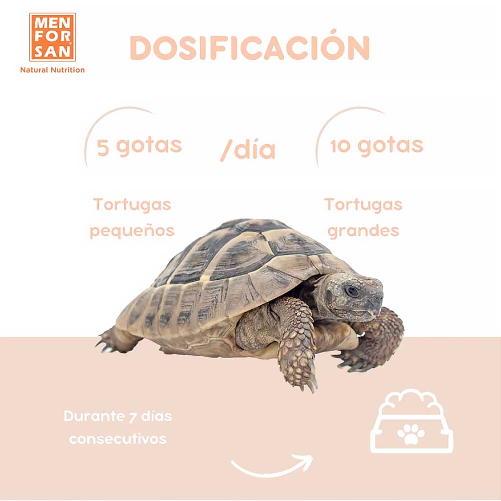 Infografía de dosificación para el tratamiento Menforsan para fortalecer caparazón tortugas.