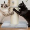 Dos gatos felices jugando juntos en el resistente árbol rascador para gatos XXL de sisal natural.