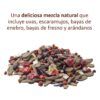Primer plano de la mezcla de ingredientes del snack roedores Versele-Laga Nature Berries con frutas y bayas del bosque.