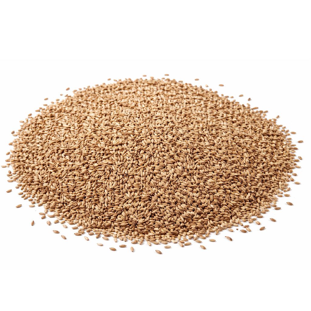 Semillas de Escarola para Jilgueros Vinci 3kg - Imagen 2