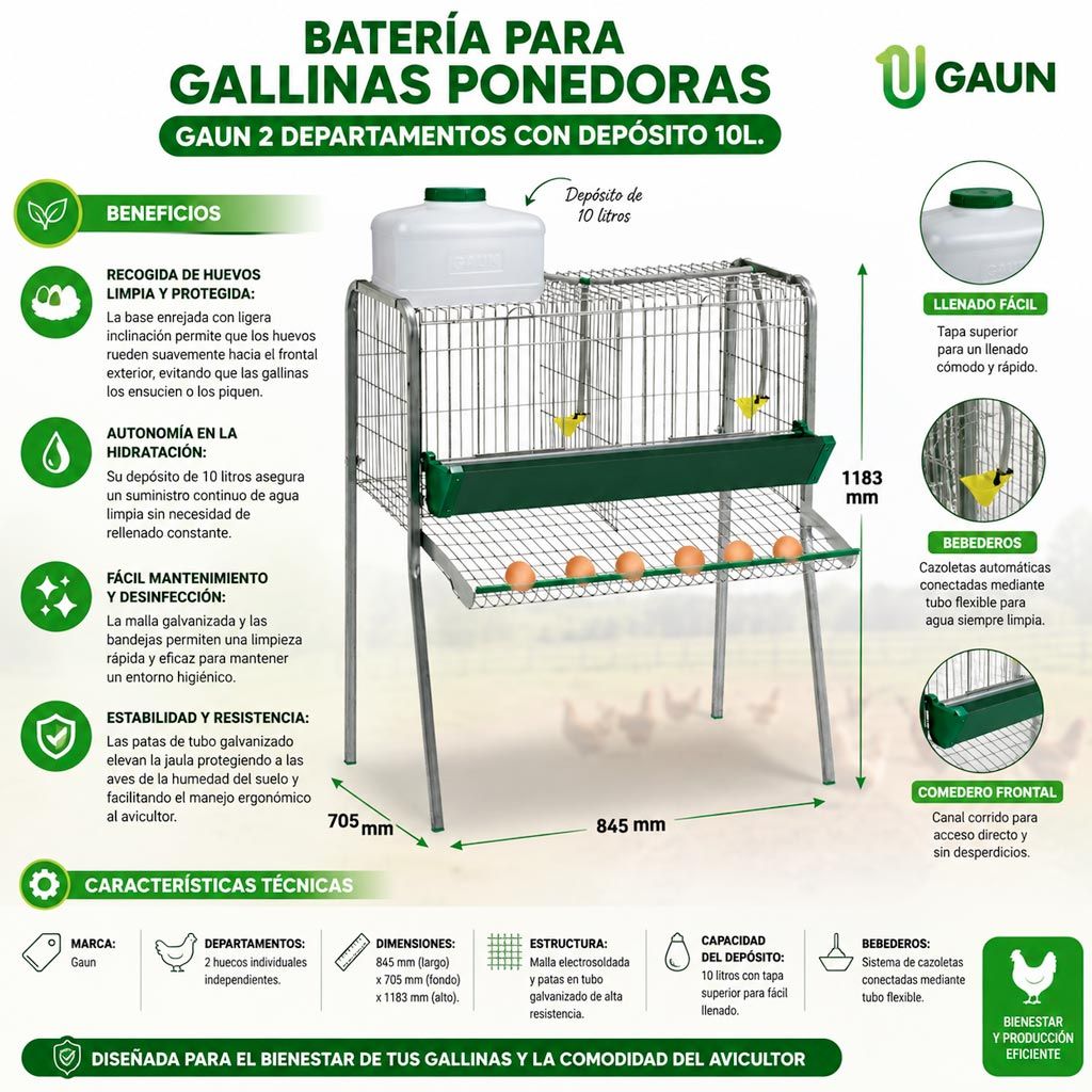 Infografia con las caracteristicas de la Jaula ponedora para gallinas con patas galvanizadas y comedero frontal Gaun