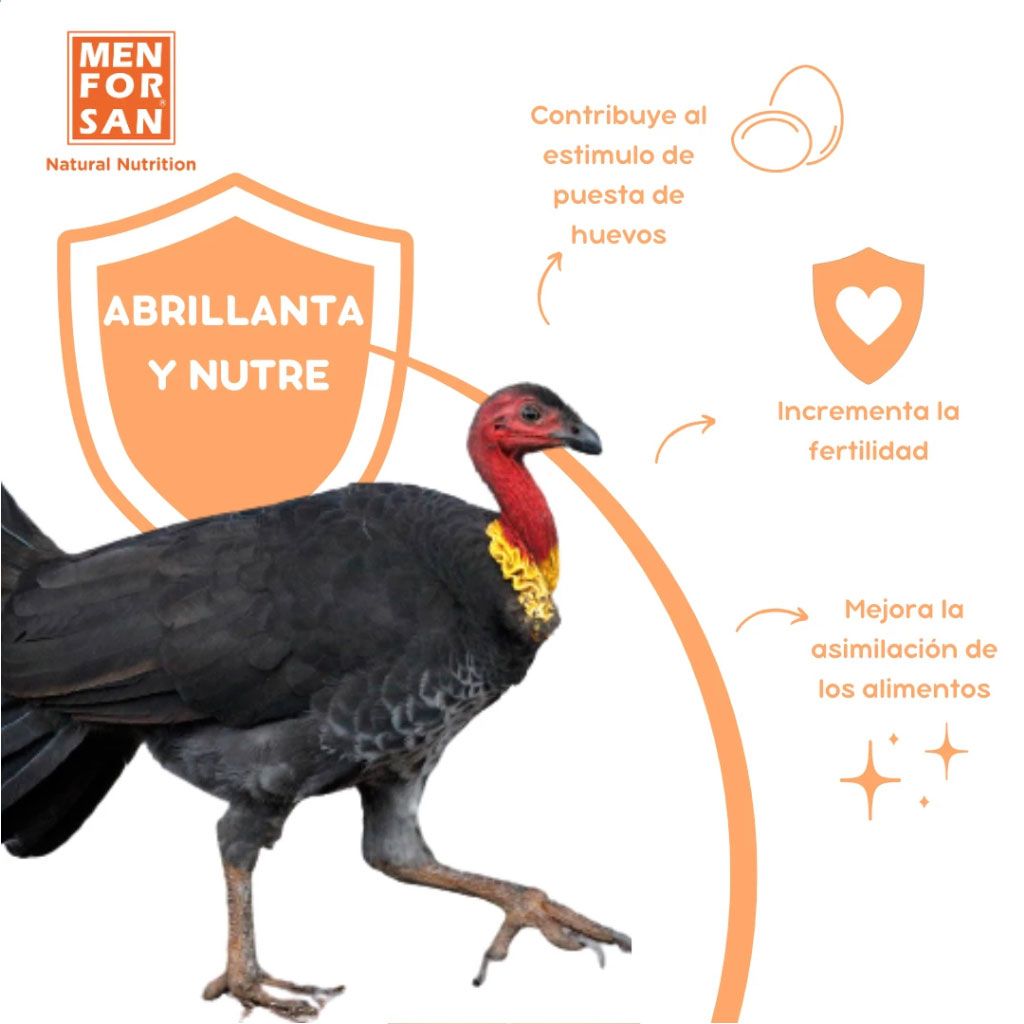 Menforsan COMPLET 500ml - Suplemento Vitamínico para Gallinas y Aves de Corral - Imagen 4