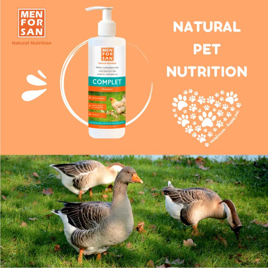 Menforsan COMPLET 500ml - Suplemento Vitamínico para Gallinas y Aves de Corral - Imagen 5