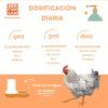 Tabla de dosificación diaria de Menforsan COMPLET para gallinas, pollitos y pavos