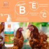 Detalle de ingredientes y vitaminas B, E y C de Menforsan COMPLET con gallinas de corral