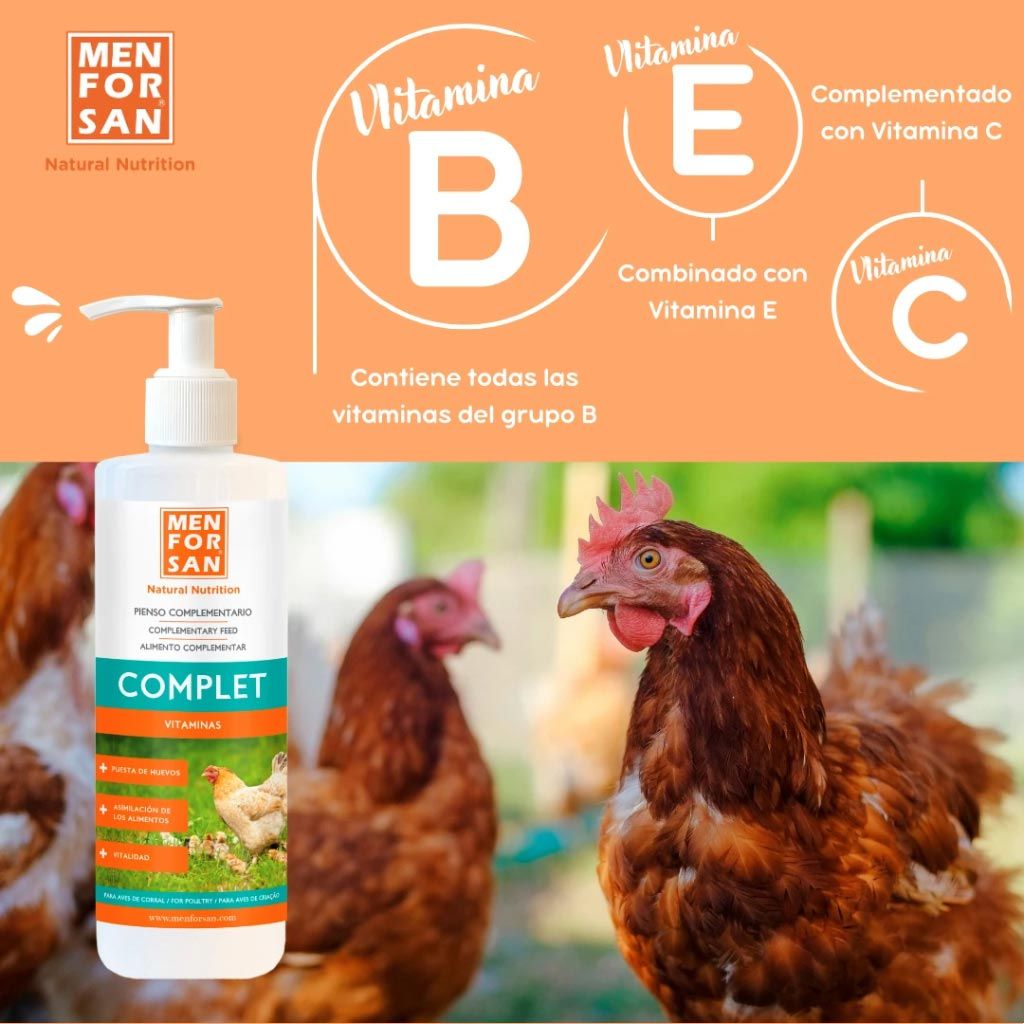 Detalle de ingredientes y vitaminas B, E y C de Menforsan COMPLET con gallinas de corral