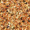 Textura y detalle de los cereales y leguminosas de la mixtura para perdices Vinci